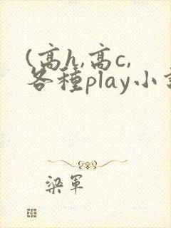 (高h,高c,各种play小说