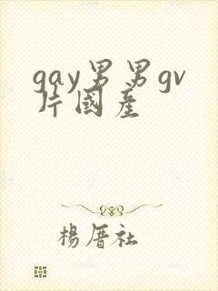 gay男男gv片国产