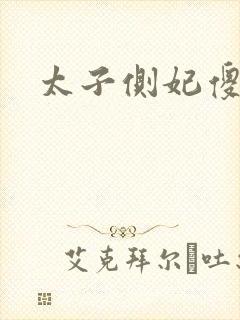 太子侧妃傻乎乎