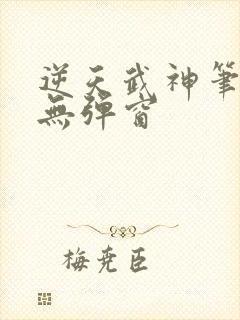 逆天武神笔趣阁无弹窗