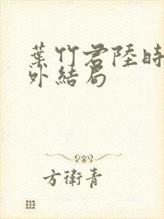 叶竹君陆时琛番外结局