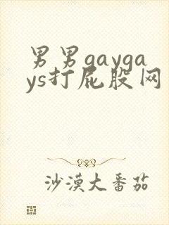 男男gaygays打屁股网站