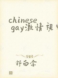 chinese gay激情视频