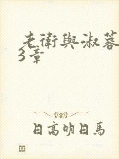 老卫与淑蓉第13章封面