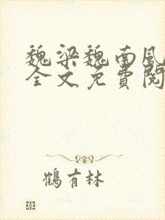 魏梁魏南风po全文免费阅读笔趣阁