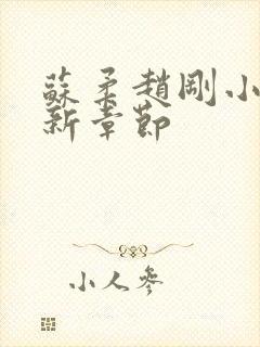 苏柔赵刚小说最新章节