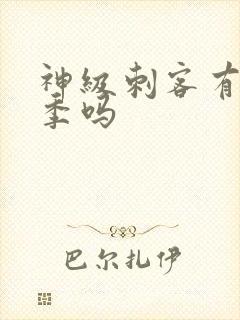 神级刺客有第二季吗