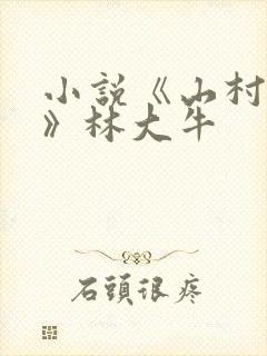 小说《山村情事》林大牛