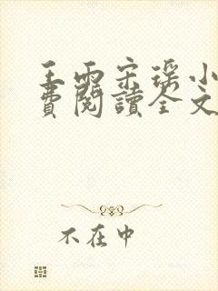 王雨宋瑶小说免费阅读全文最新章节