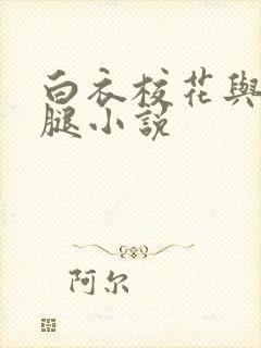 白衣校花与大长腿小说