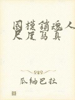 国模销魂人体大尺度写真封面