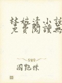 林婉清小说全文免费阅读无弹窗