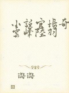 小说官场奇才刘云峰陆羽