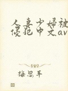 人妻少妇被猛烈侵犯中文av