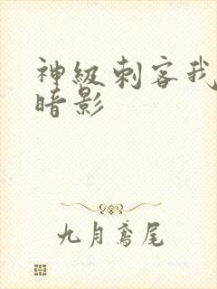 神级刺客我既是暗影