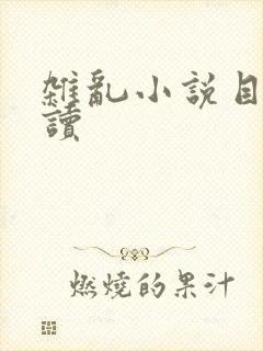 杂乱小说目录阅读封面