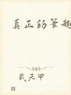 真正的笔趣阁