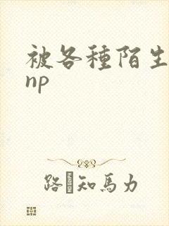 被各种陌生人 np