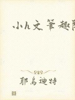 小h文笔趣阁