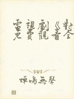 电视剧《对决》免费观看全集高清版封面