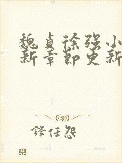 魏贞徐强小说最新章节更新内容简介