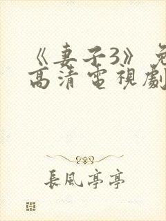 《妻子3》免费高清电视剧封面