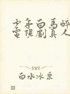 少年白马醉春风电视剧真人版封面