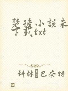 楚后小说未删版下载txt