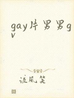 gay片男男gv