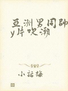 亚洲男同帅gay片吹潮