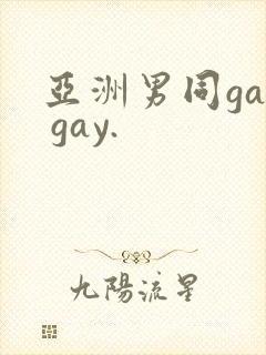 亚洲男同gay gay.