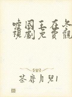 嘘国王在冬眠电视剧免费观看完整版高清