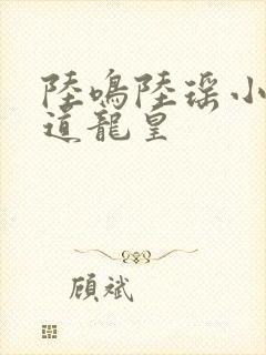 陆鸣陆瑶小说万道龙皇