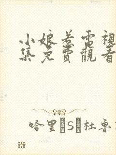 小娘惹电视剧全集免费观看封面