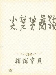 小说他最野了全文免费阅读