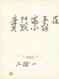 唐门高手在异世莫默小说