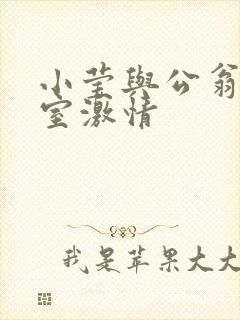 小莹与公翁办公室激情