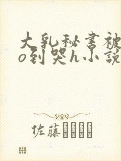 大乳秘书被cao到哭h小说封面