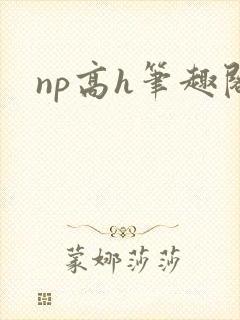 np高h笔趣阁