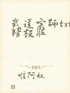 武道宗师txt精校版