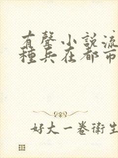 有声小说流氓特种兵在都市小说