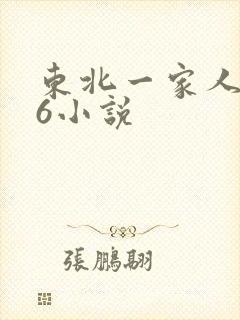 东北一家人1一6小说封面