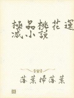 极品桃花运未删减小说