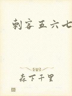 刺客五六七动漫