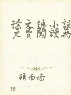 徐文栋小说全文免费阅读无弹窗