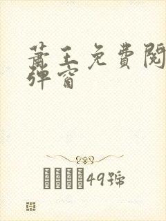 萧王免费阅读无弹窗