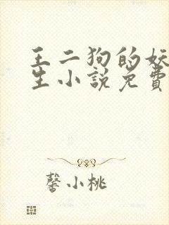 王二狗的妖孽人生小说免费阅读