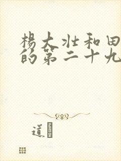 杨大壮和田桂花的第二十九封面