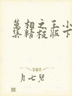 万相之王小说全集精校版下载