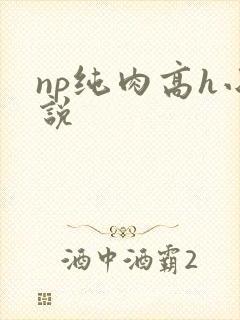 np纯肉高h小说